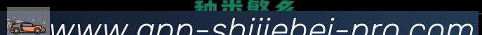 奖项4